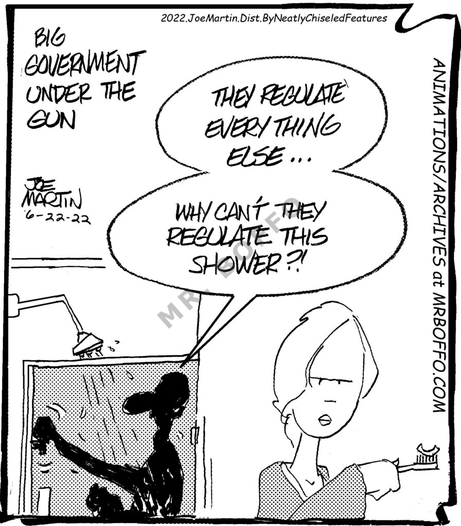 Home Improvement 004