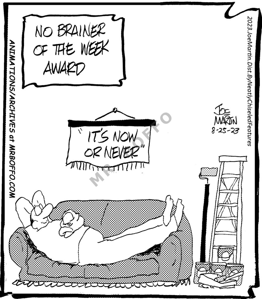 Home Improvement 008