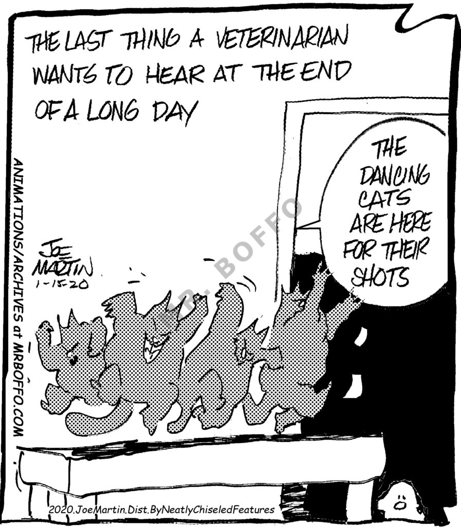 Veterinarian 20200115