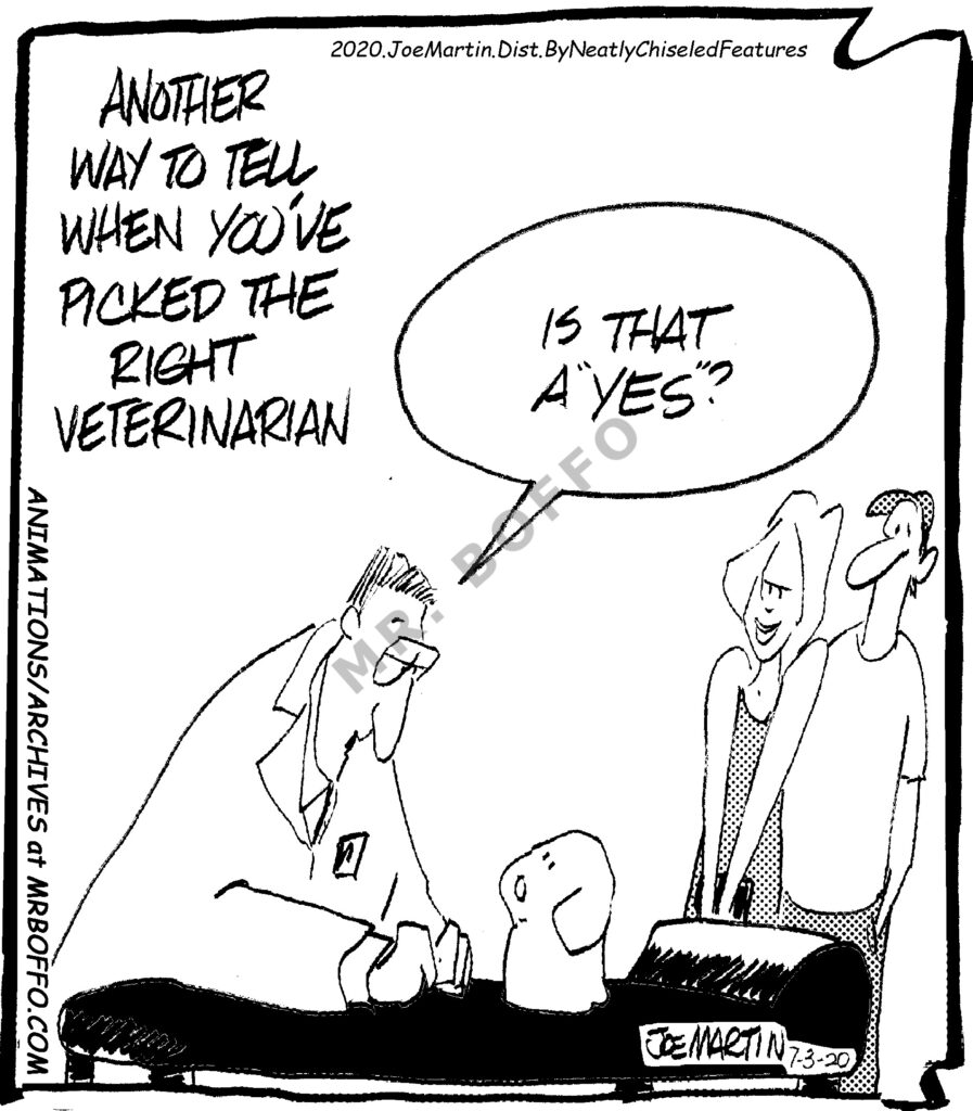 Veterinarian 20200703